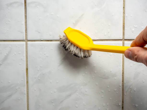 Best Residential Mold Removal  in Buena Vista, VA