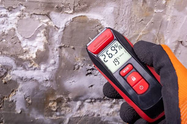 Best Mold Cleaning Services  in Buena Vista, VA