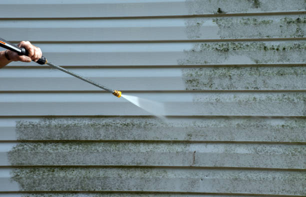 Mold Testing and Removal in Buena Vista, VA