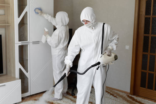 Best Attic Mold Removal  in Buena Vista, VA