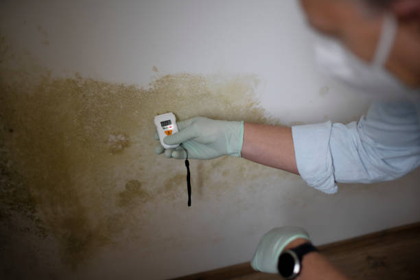 Water Damage Restoration in Buena Vista, VA