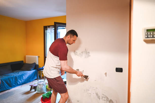 Best Black Mold Removal  in Buena Vista, VA